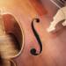 The history of the violin